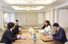 Первый вице-президент Мехрибан Алиева встретилась с советником премьер-министра Японии (ФОТО)