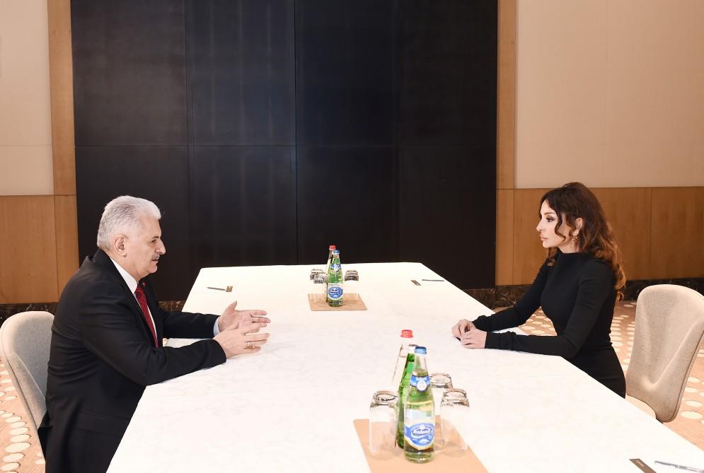 First VP Mehriban Aliyeva: Nothing can harm friendly ties between Azerbaijanis, Turks (PHOTO)