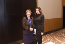 First VP Mehriban Aliyeva meets Italian Senate's VP (PHOTO)