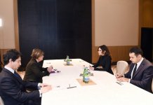 Первый вице-президент Мехрибан Алиева встретилась с вице-президентом Сената Италии (ФОТО)