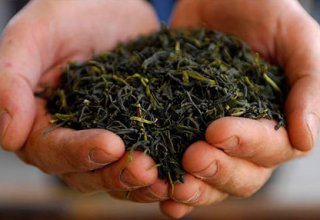 Azerbaijan’s major tea producer to enter European market