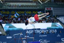 Bakıda idman gimnastikası üzrə Dünya Kubokunun ən gözəl anları FOTOLARDA - Gallery Thumbnail
