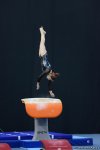 Bakıda idman gimnastikası üzrə Dünya Kubokunun ən gözəl anları FOTOLARDA