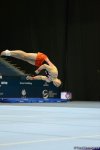 Best moments of FIG Artistic Gymnastics World Cup in Baku (PHOTO)