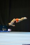 Day 1 of finals of FIG Artistic Gymnastics World Cup kicks off in Baku (PHOTO)