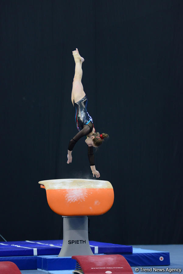 Azərbaycan gimnastı idman gimnastikası üzrə Dünya Kubokunda gümüş medal qazandı (FOTO) - Gallery Image