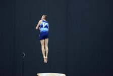 Best moments of FIG Artistic Gymnastics World Cup in photos