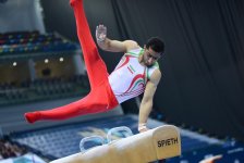 Bakıda idman gimnastikası üzrə Dünya Kubokunun sonuncu yarış günü başladı (FOTO)