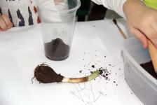 IDEA uşaqlar üçün ekoloji laboratoriya - mart təlimi keçirib (FOTO) - Gallery Thumbnail