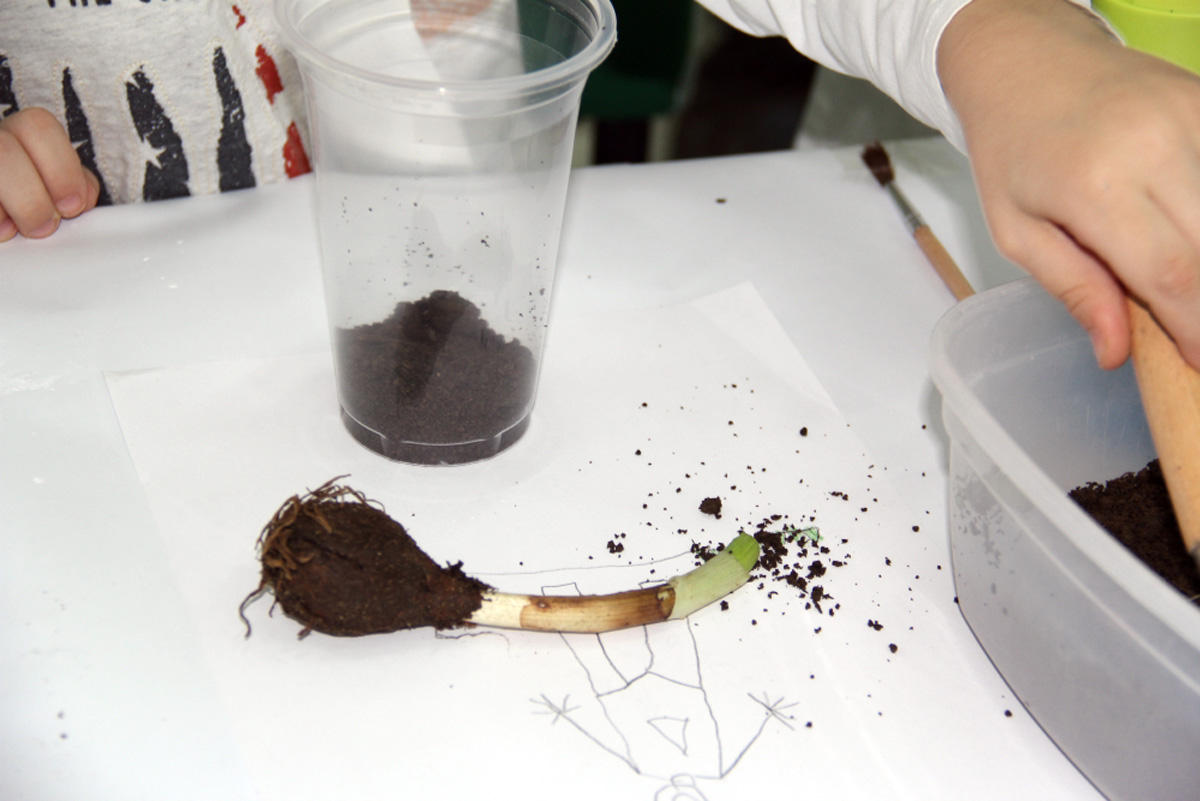 IDEA uşaqlar üçün ekoloji laboratoriya - mart təlimi keçirib (FOTO) - Gallery Image