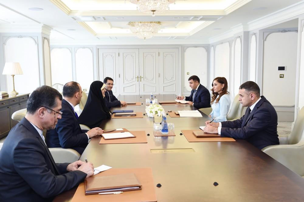 Первый вице-президент Мехрибан Алиева встретилась с заместителем президента Ирана по вопросам женщин и семьи (ФОТО)