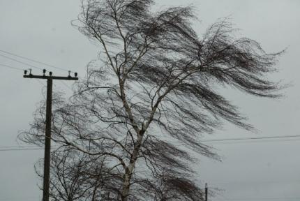 2 dead as wind storm hits Canada