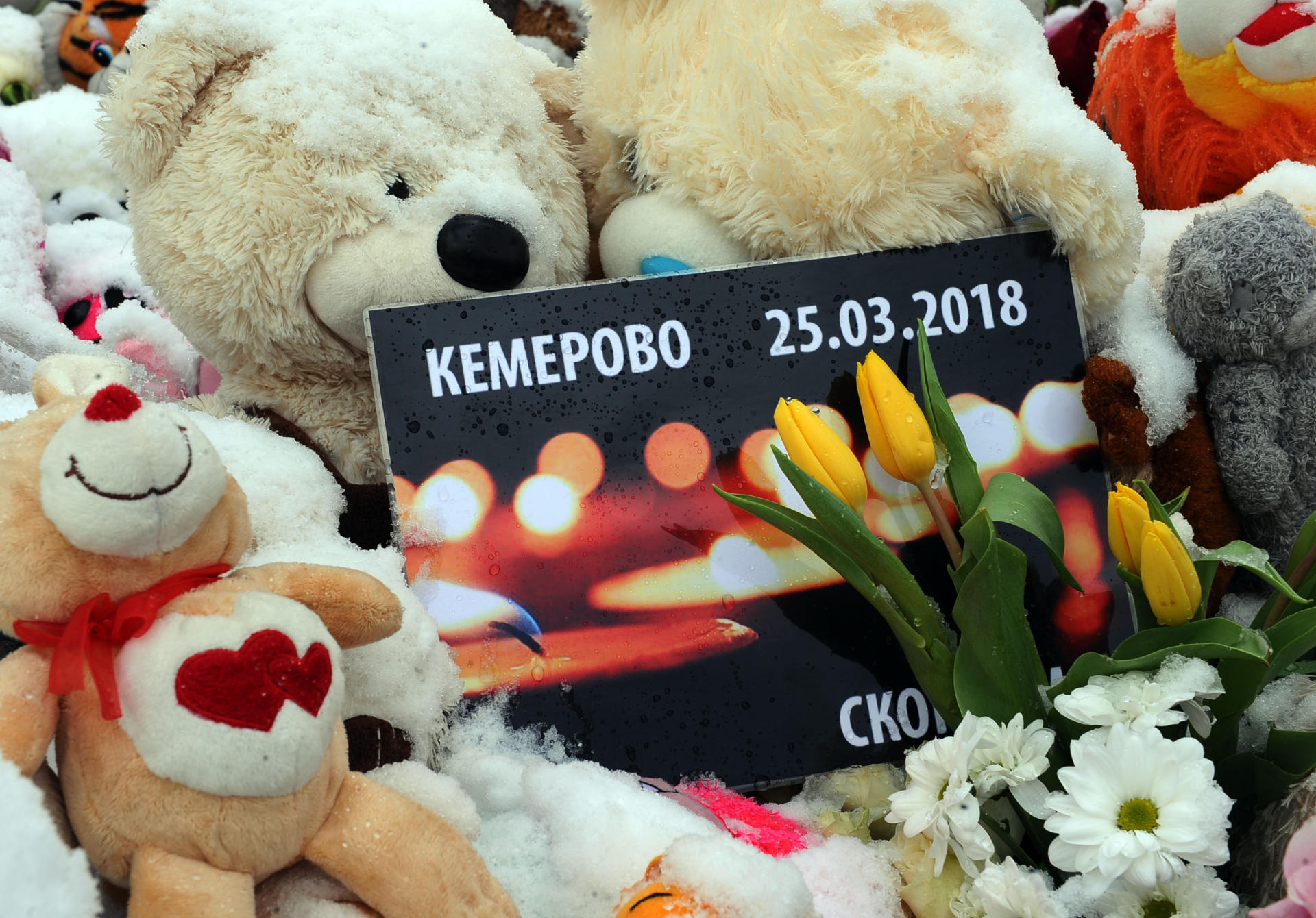 Heydar Aliyev Foundation sends aid to victims of Kemerovo mall fire (PHOTO)