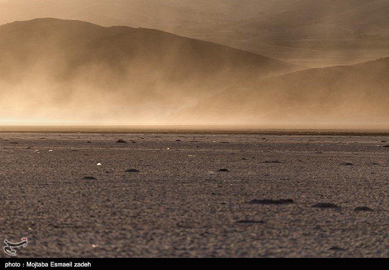 Concerns grow over salt storms in northwestern Iran