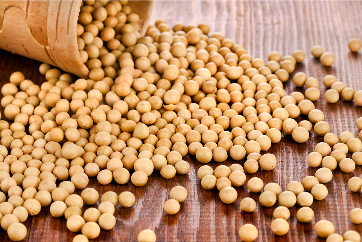 China will start allowing soybean imports from Ethiopia