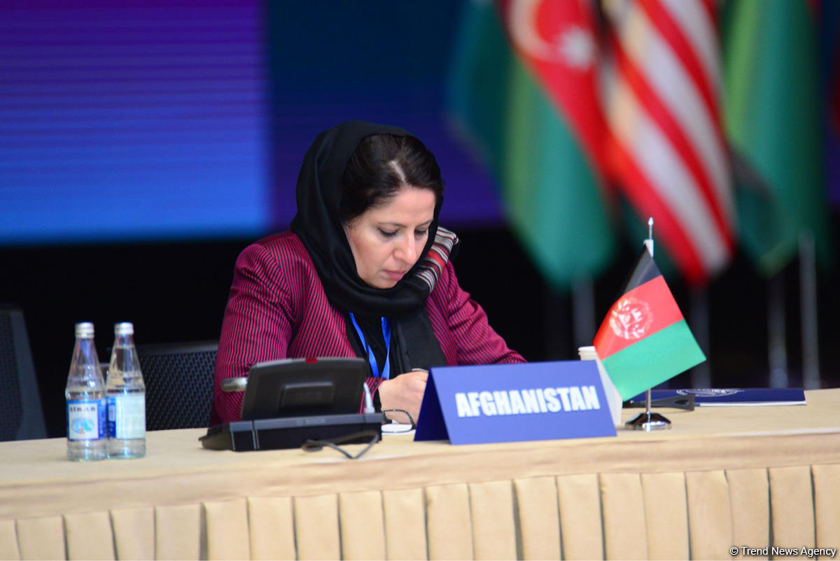 Принята Бакинская декларация промежуточной конференции глав МИД Движения неприсоединения (ФОТО)