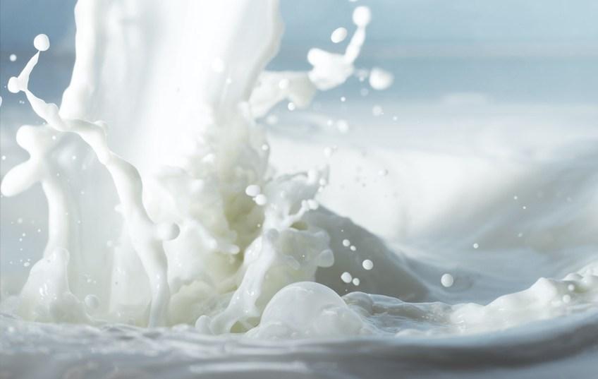 Азербайджанское  предприятие  увеличило  производство  молока
