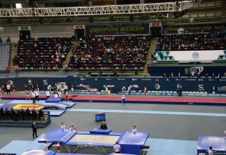 Azerbaijan's gymnast hopes to feel fan support at European Championships in Baku
