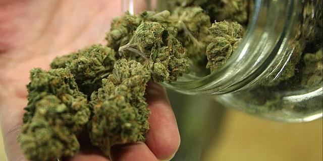 Kazakh company looking to establish medical cannabis production
