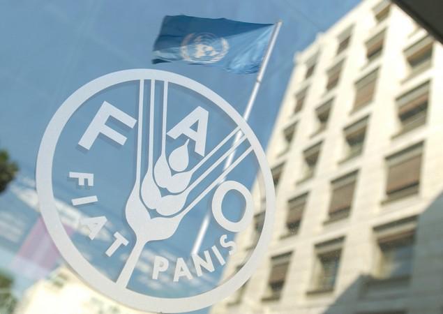FAO's initiative to digitalize Uzbekistan’s agriculture looming