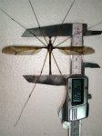 В китайской провинции Сычуань обнаружен гигантский комар (ФОТО)