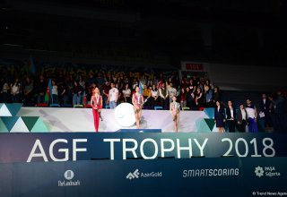 FIG World Cup in Baku: Winners of individual competitions awarded (PHOTO)