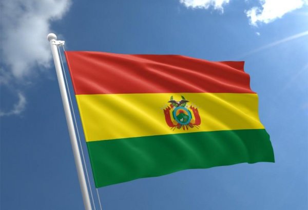 Вице-председатель Верховного избирательного суда Боливии покинул пост