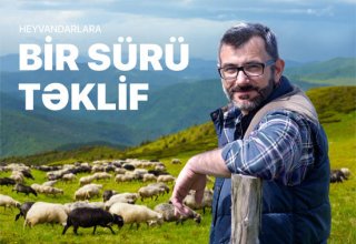"AccessBank"dan heyvandarlıqla məşğul olanlara BİR SÜRÜ TƏKLİF!