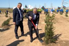 Ümummilli lider Heydər Əliyevin 95 illiyi ilə əlaqədar ağac əkilib (FOTO/VİDEO)