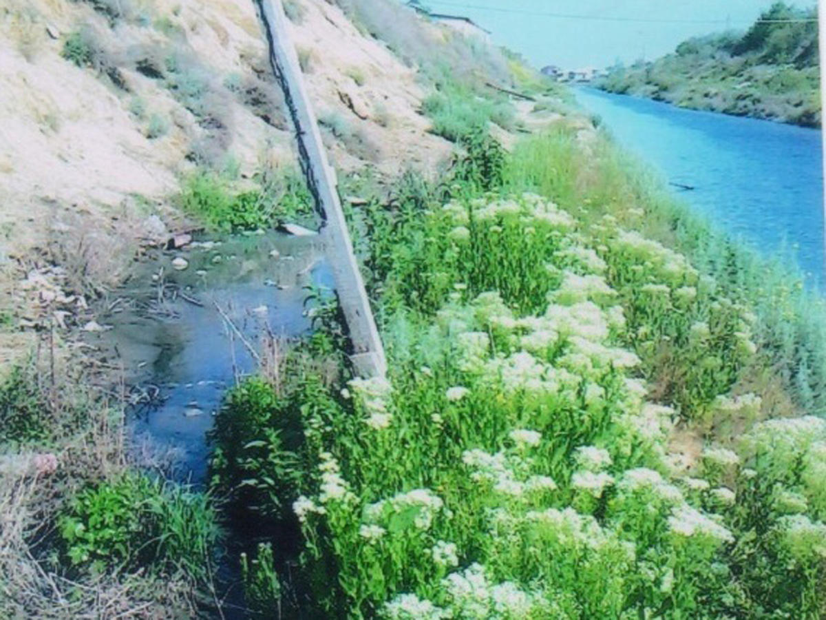 Çirkab suları birbaşa Samur-Abşeron magistral kanalına axıdılır - REYD (FOTO)
