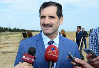 Over 4,000 Turkish citizens residing in Azerbaijan have right to participate in elections – envoy