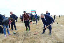 Yeni Azərbaycan Partiyası tərəfindən partiyanın yaranmasının 25 illiyi ilə əlaqədar ağacəkmə aksiyası keçirilib (FOTO)