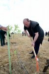 Yeni Azərbaycan Partiyası tərəfindən partiyanın yaranmasının 25 illiyi ilə əlaqədar ağacəkmə aksiyası keçirilib (FOTO)