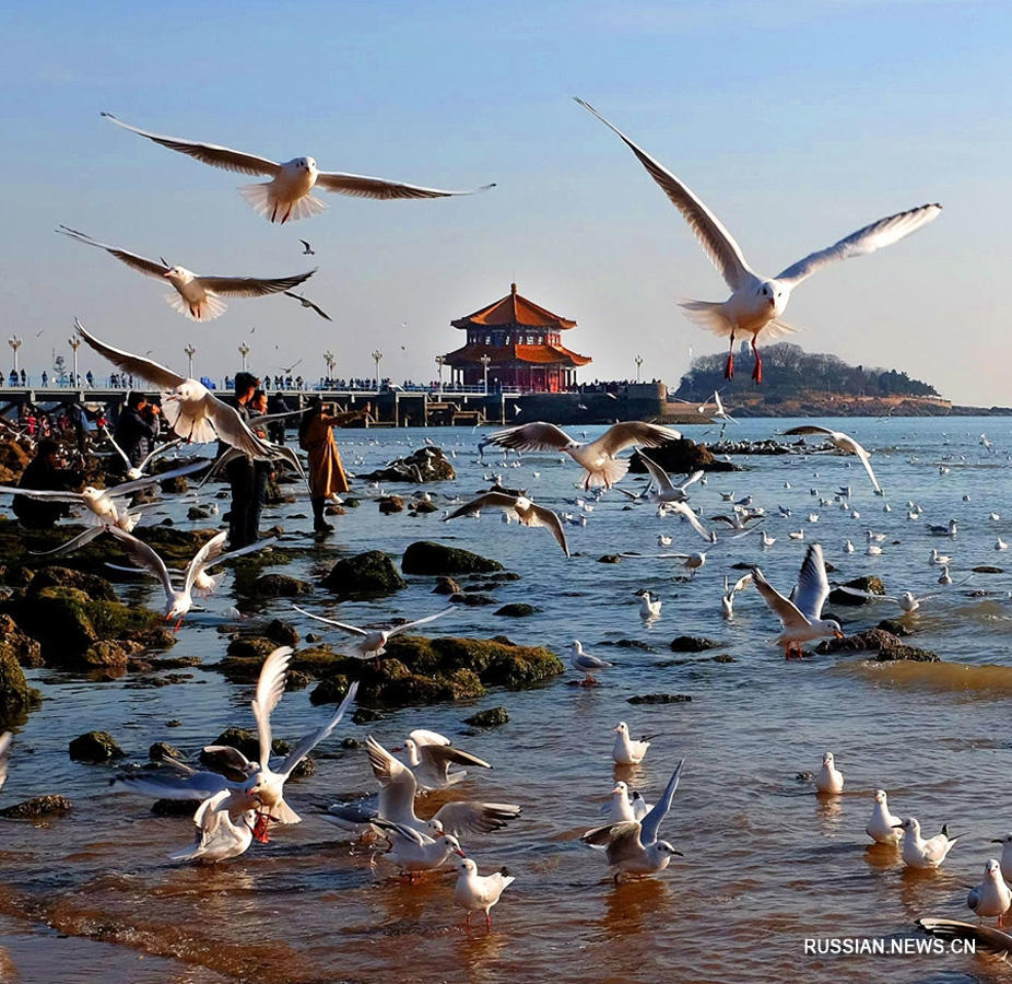 Очаровательный приморский город Циндао ждет очередного саммита ШОС (ФОТО)