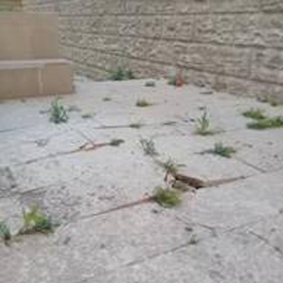В результате оползня на Баиловском склоне в Баку образовались трещины в многоэтажном здании (ФОТО)