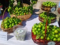 В Нахчыване проходит Фестиваль алычи гёйче (ФОТО)