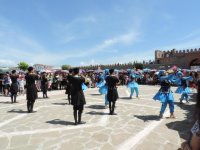 В Нахчыване проходит Фестиваль алычи гёйче (ФОТО)
