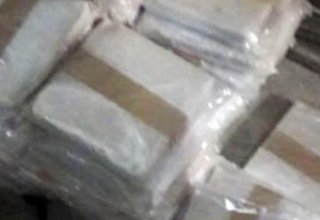 North China province seizes nearly 290 kg of drugs in H1