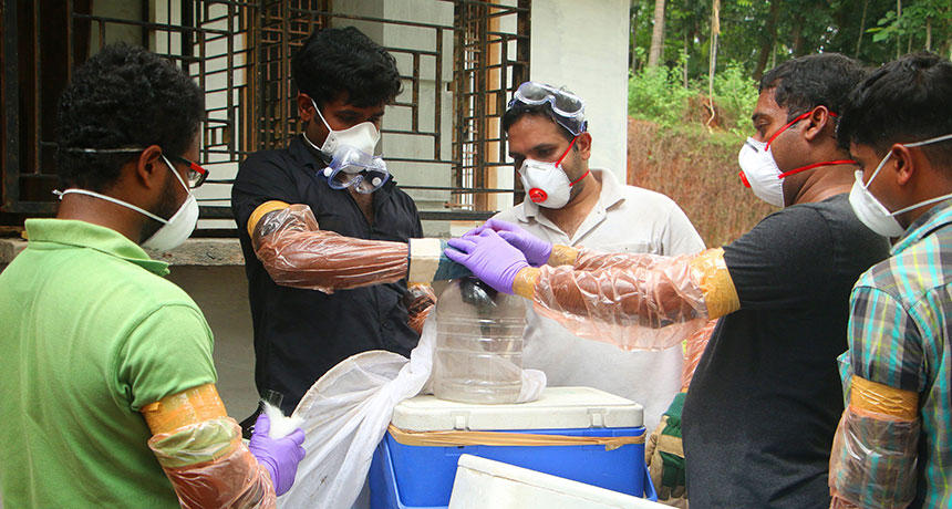 Hindistanda "Nipah" virusu 16 nəfəri öldürdü