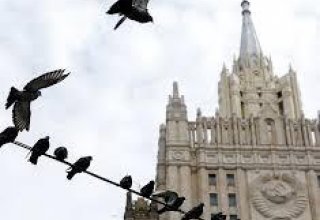 Кто и зачем занимается ловлей птиц в МИД РФ?