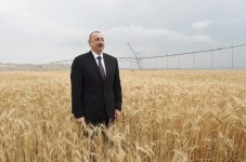 Президент Ильхам Алиев принял участие в открытии «Регион Агропарка» в Геранбое (ФОТО)