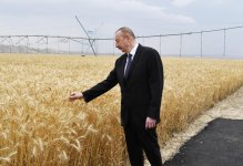 Prezident İlham Əliyev Goranboyda “Region Agro” MMC-nin açılışında iştirak edib (FOTO) (YENİLƏNİB-2)