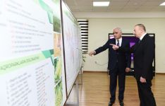 President Aliyev inaugurates Region Agro LLC in Goranboy (PHOTO)