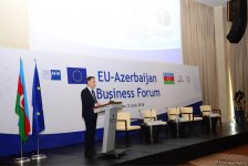 Nazir müavini: Son 5 ildə Aİ-nin Azərbaycan iqtisadiyyatına investisiyaları 15 milyard dolları ötüb (FOTO)