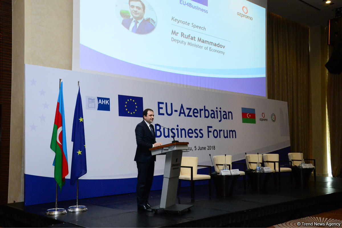 Инвестиции ЕС в Азербайджан за последние 5 лет превысили $15 млрд - замминистра (ФОТО)
