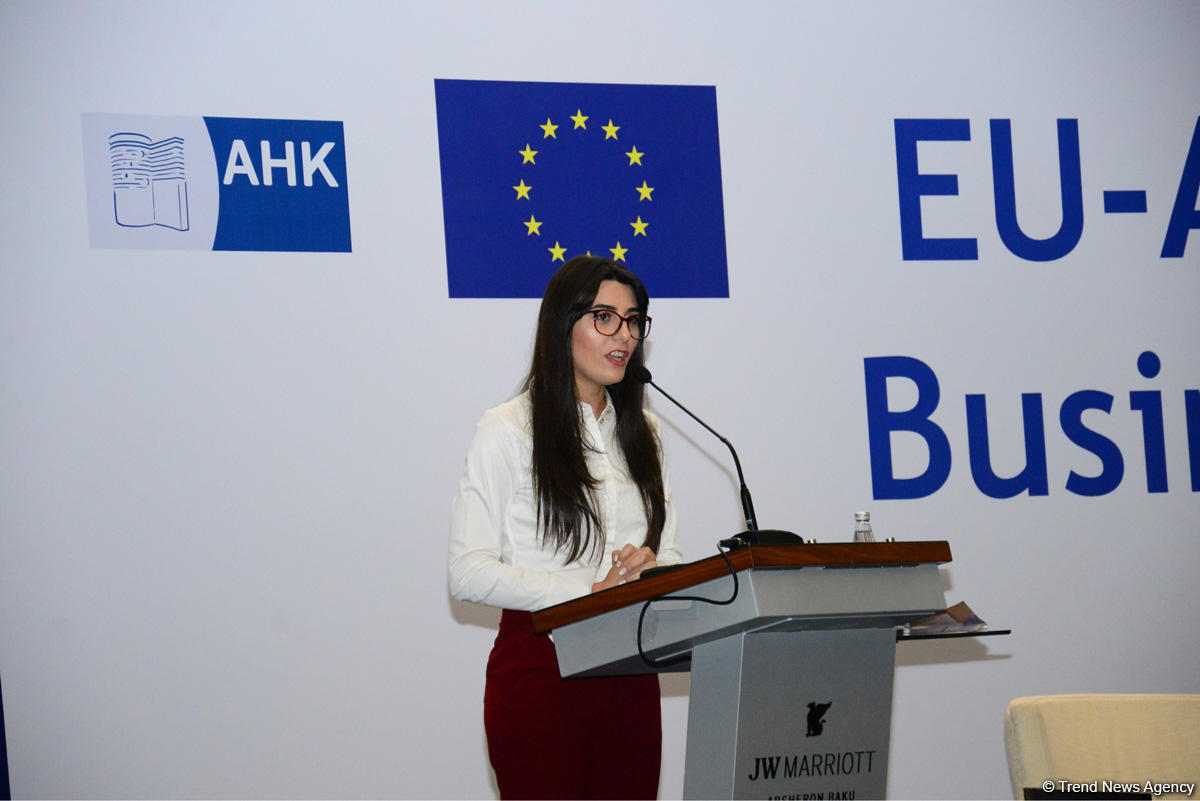 EU investments in Azerbaijan exceed $15 billion over past 5 years - Deputy Minister (PHOTO)