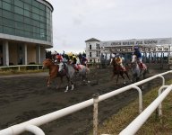 В Азербайджане проходит Национальный фестиваль конного спорта (ФОТО)