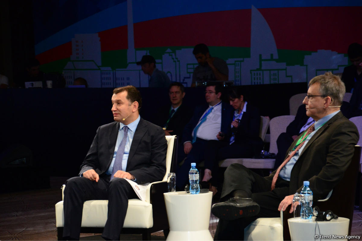 Азербайджан продолжит диверсификацию экономики - замминистра (ФОТО)