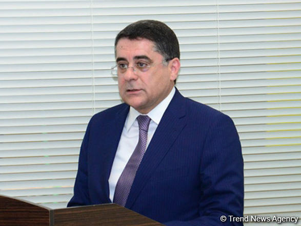 Azerbaijani transport agency's chief sums up activities in 2020