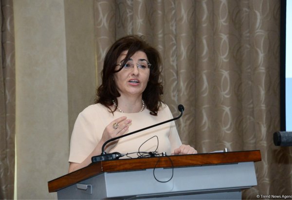 Deputy minister: Occupation of Azerbaijani lands hinders sustainable development in region